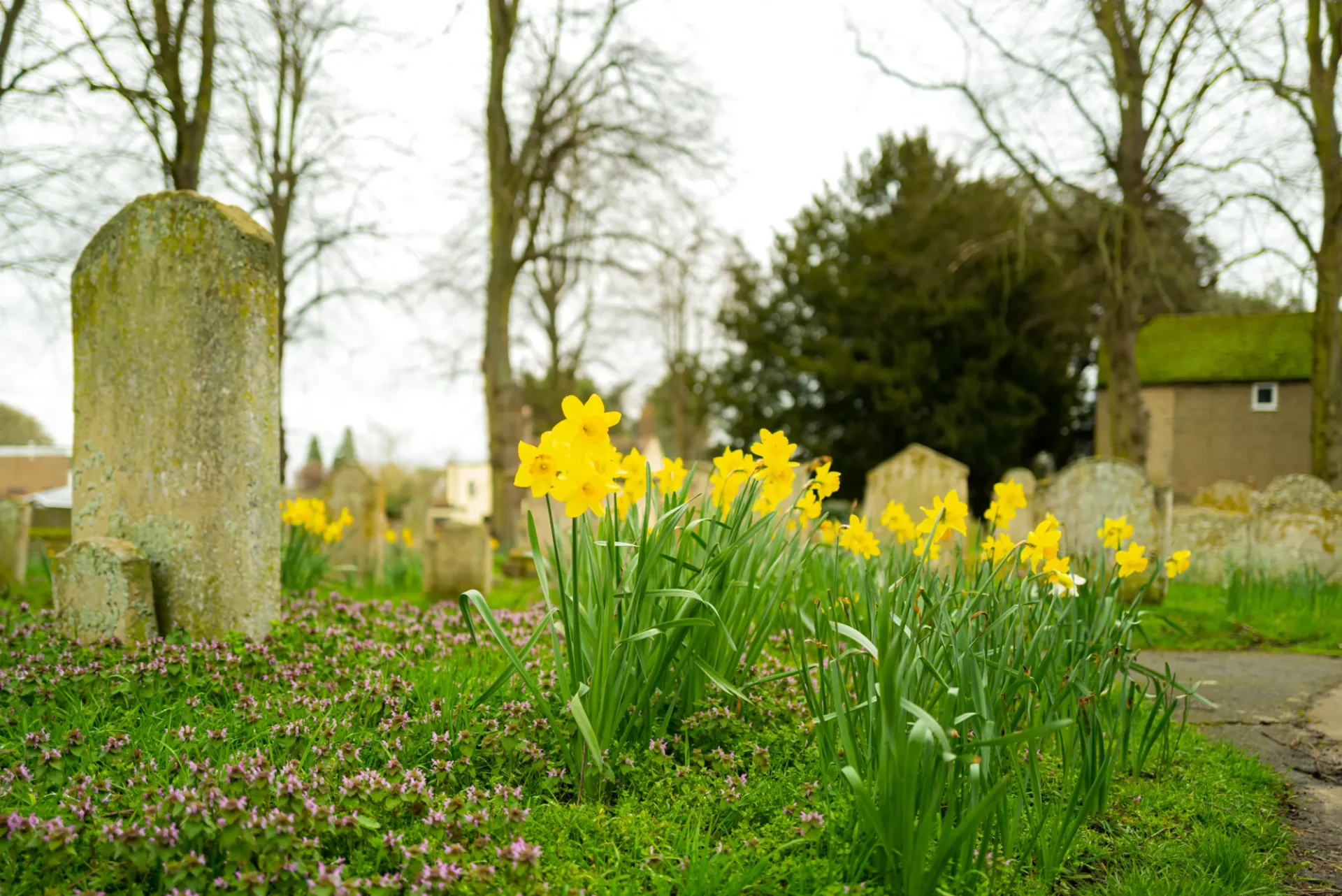 Catholic Cemeteries Diocese of Trenton