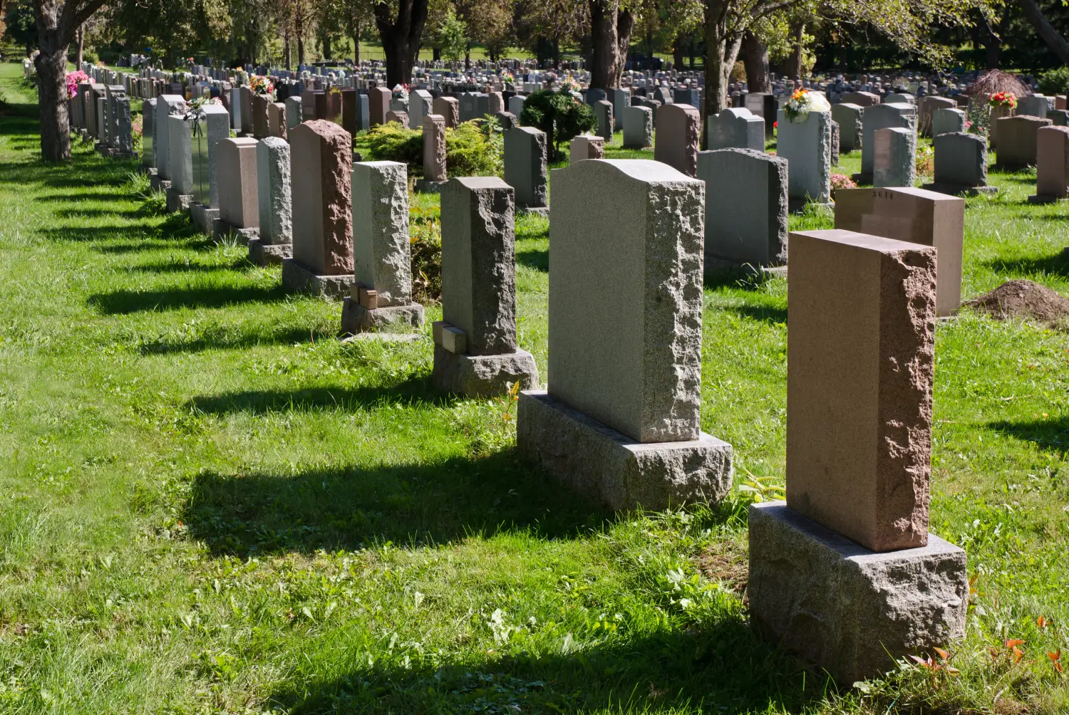 Rows of gravestones in a cemetery, surrounded by green grass and trees, with flowers placed on some of the graves.