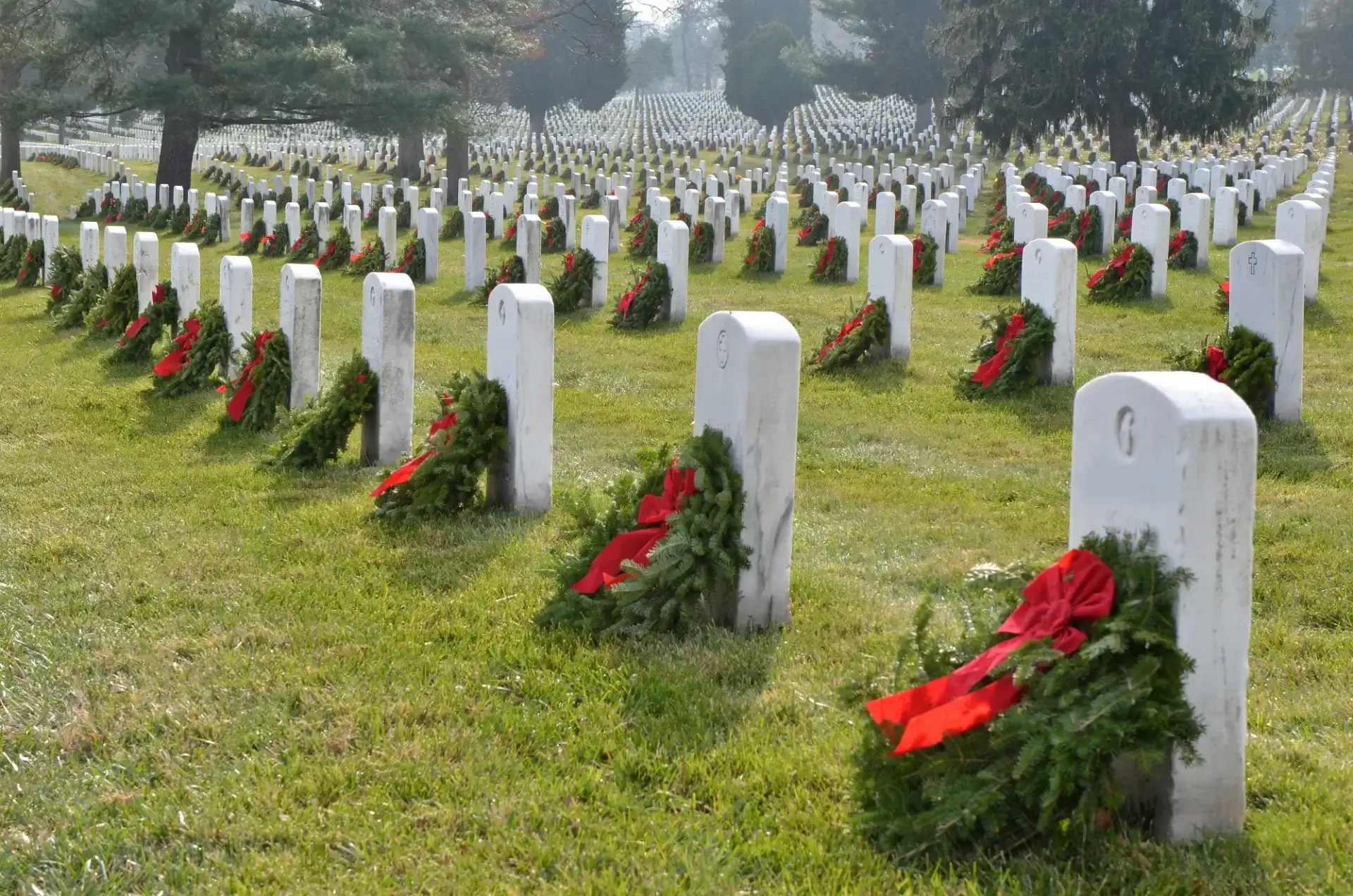 Rows of white headstones in a cemetery, each decorated with a wreath and red ribbon, on a grassy lawn with trees in the background.