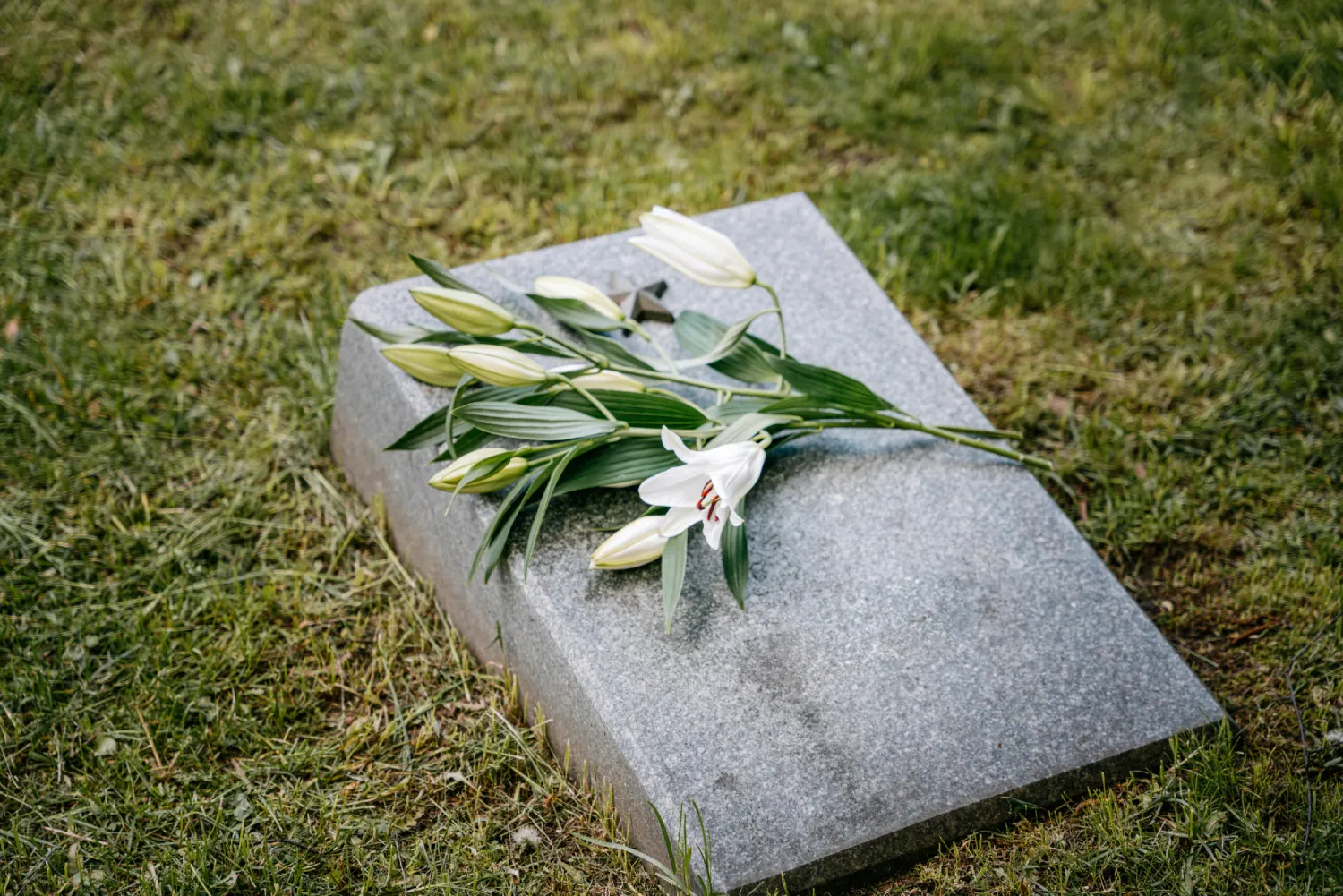 Catholic Cemeteries Diocese of Trenton