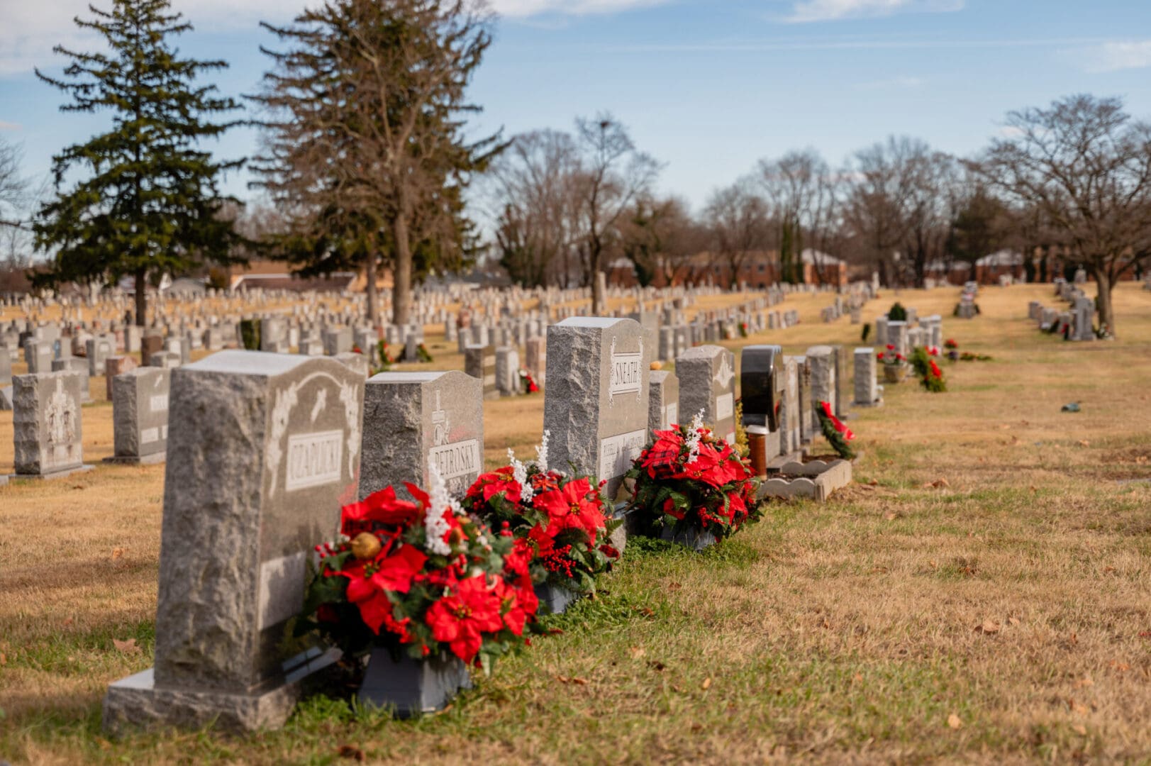 Grave markers adorned with holiday flowers.