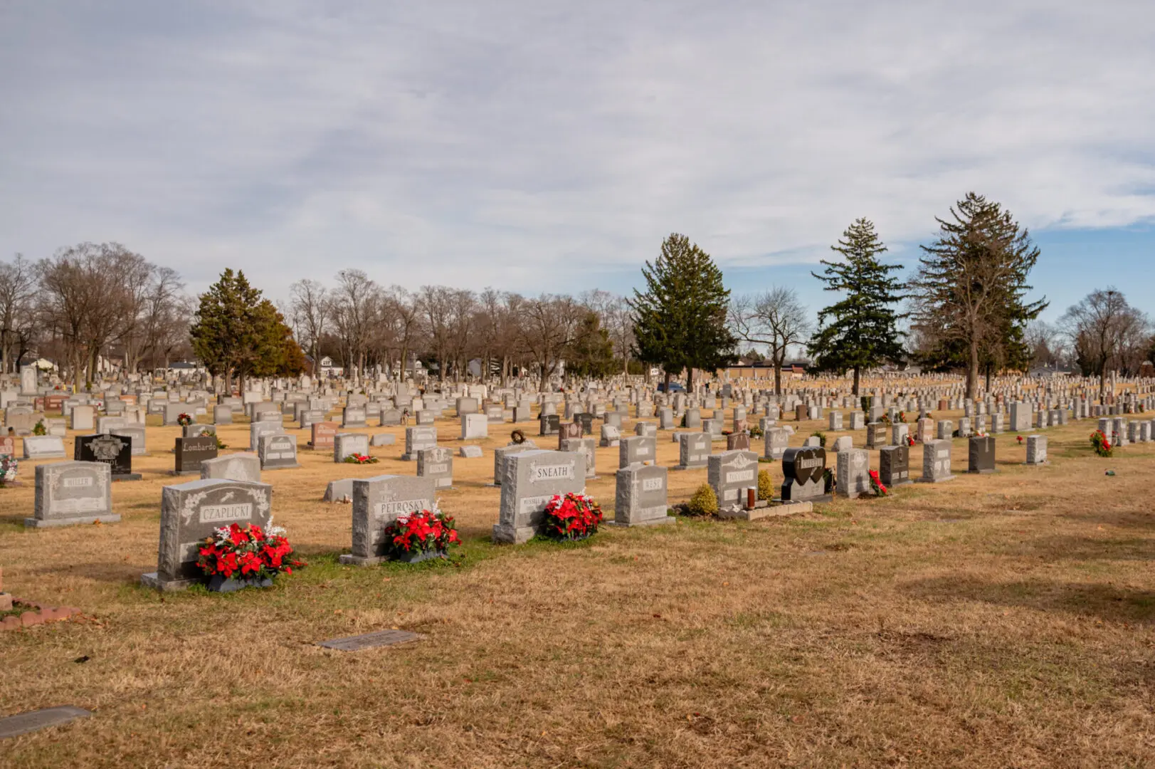 Gravestones and flowers in a cemetery.